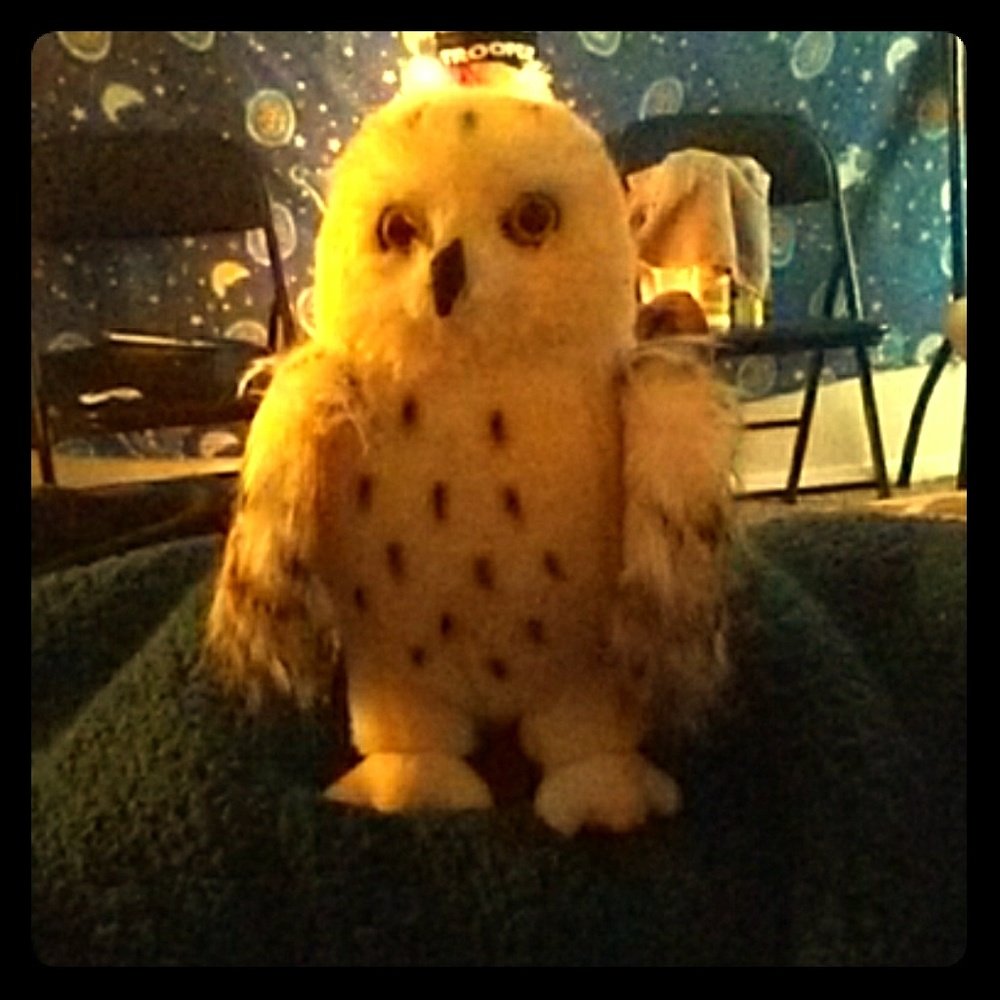 Harry Potter's stuffed owl